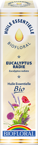 HE Bio - Eucalyptus radié - 10ml 1