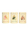 Bougie parfumée Bouquet étoilé 6