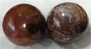 Lot de sphère Bois Fossile/Silicifié - 1 kg 2