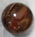 Lot de sphère Bois Fossile/Silicifié - 1 kg 3