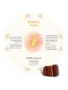 Oracle et pierres surprises 4