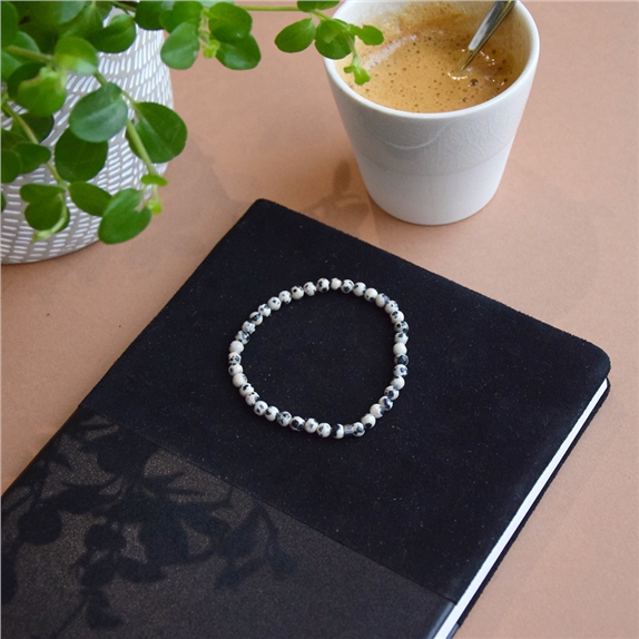 Bracelet Jaspe Dalmatien Perles rondes 4 mm 5