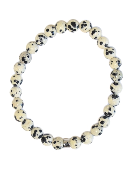 Bracelet Jaspe Dalmatien Perles rondes 6 mm 2