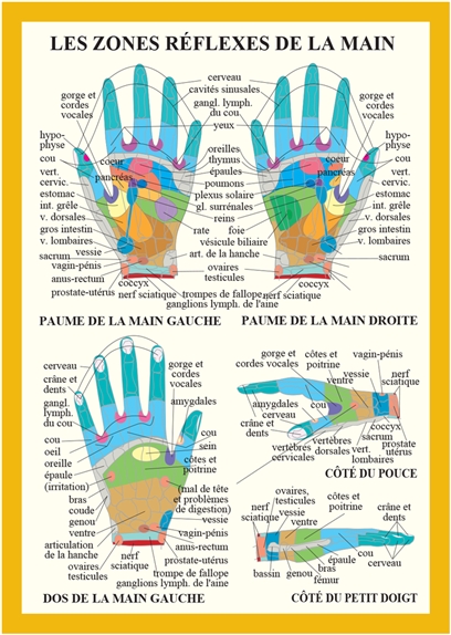 Planche Zones réflexes de la main - A4 1