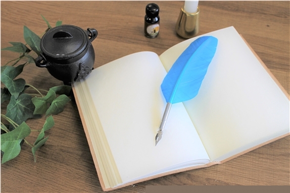 Coffret de Calligraphie Enfant 1 pointe Plume Bleue