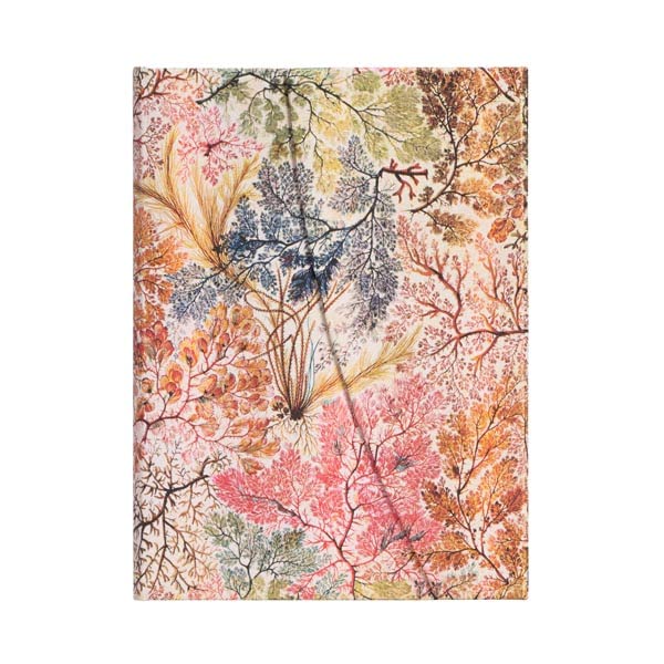 Carnets à couverture rigide - Anémone - Midi - Ligné