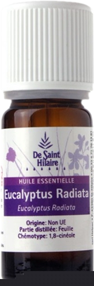 Huile Essentielle Eucalyptus Radiata Bio 10 ml