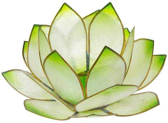 Photophore lotus - coloris vert lime