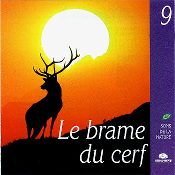 Le brame du cerf