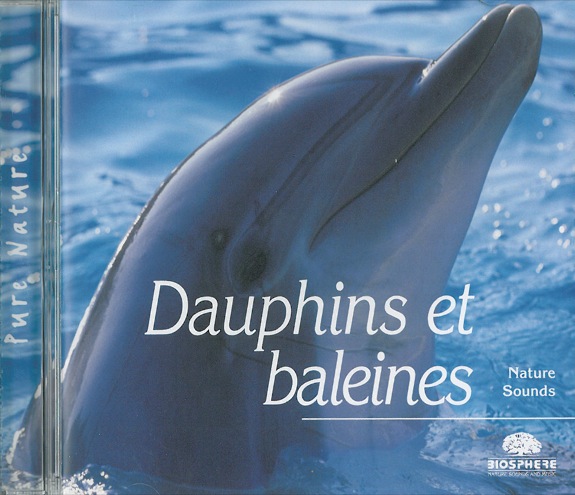 Dauphins et baleines