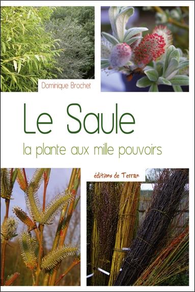 [9782359810561] Le Saule - La plante aux mille pouvoirs
