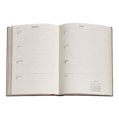 12 mois - 2022 Papillons - Midi - Vertical