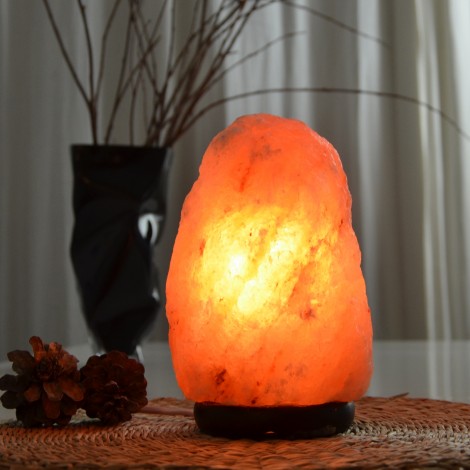 Lampe en Cristal de Sel d'Himalaya de 4 à 6 kg  