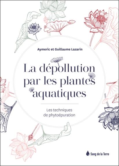 La dépollution par les plantes aquatiques - Les techniques de phytoépuration