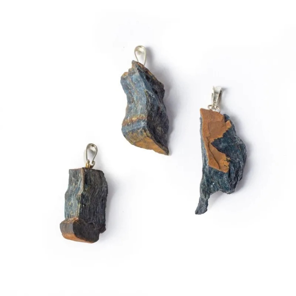 Cuisine sauvage - Accomoder mille plantes oubliées