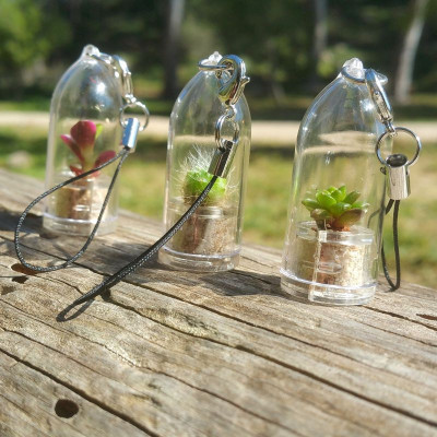 lot de 20 buvards pour Bijoux d'Aromathérapie