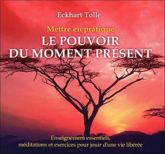 Mettre en pratique le pouvoir du moment présent - Livre audio