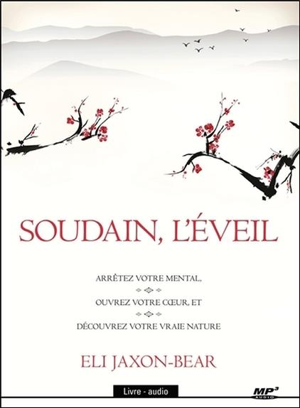 Soudain, l'éveil - Livre audio CD MP3