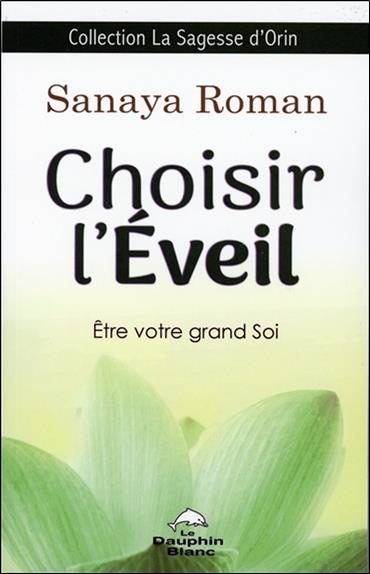Choisir l'éveil - Etre votre grand Soi
