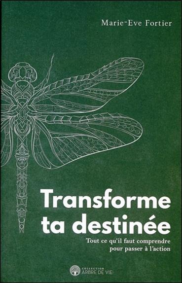 [épuisé] Transforme ta destinée - Tout ce qu'il faut comprendre pour passer à l'action