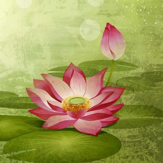 Yoga tibétain - Les énergies subtiles