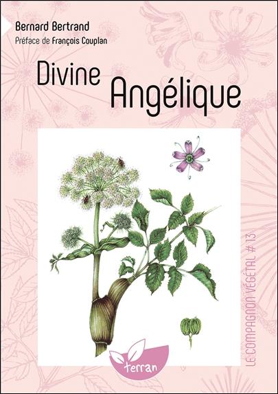 Divine Angélique - Vol. 13