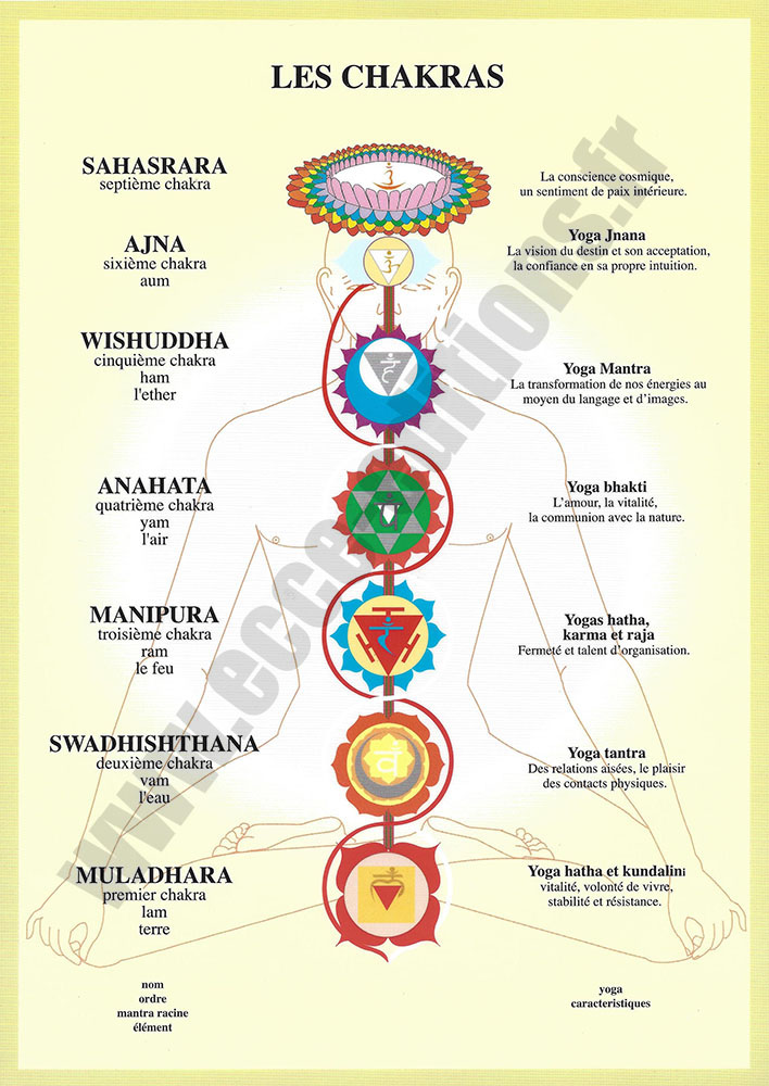 Planche plastifiée des Chakras (A4) - J.Baarle