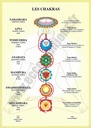 Planche plastifiée des Chakras (A4) - J.Baarle