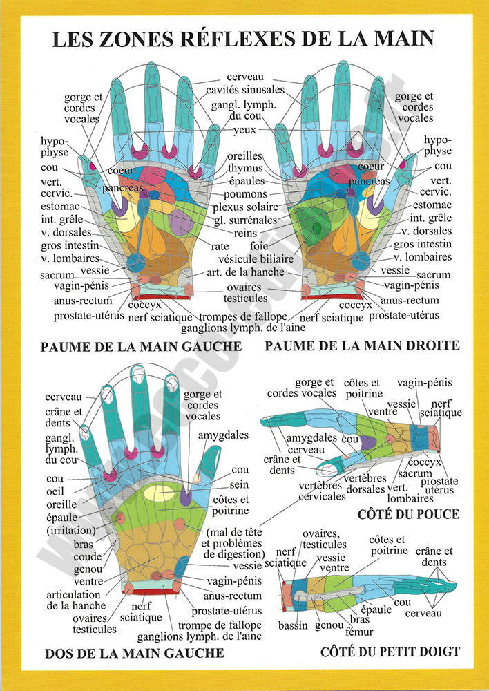 [9789070281465] Planche plastifiée Zones réflexes de la main (A4) - J.Baarle