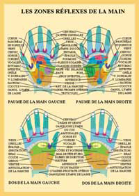 Planche plastifiée Zones réflexes de la main (A4) - J.Baarle
