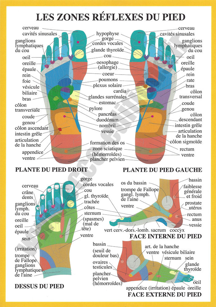 [9789070281762] Planche plastifiée Zones réflexes du pied (A4) - J.Baarle