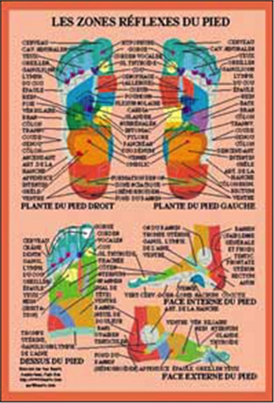 Planche plastifiée Zones réflexes du pied (A4) - J.Baarle