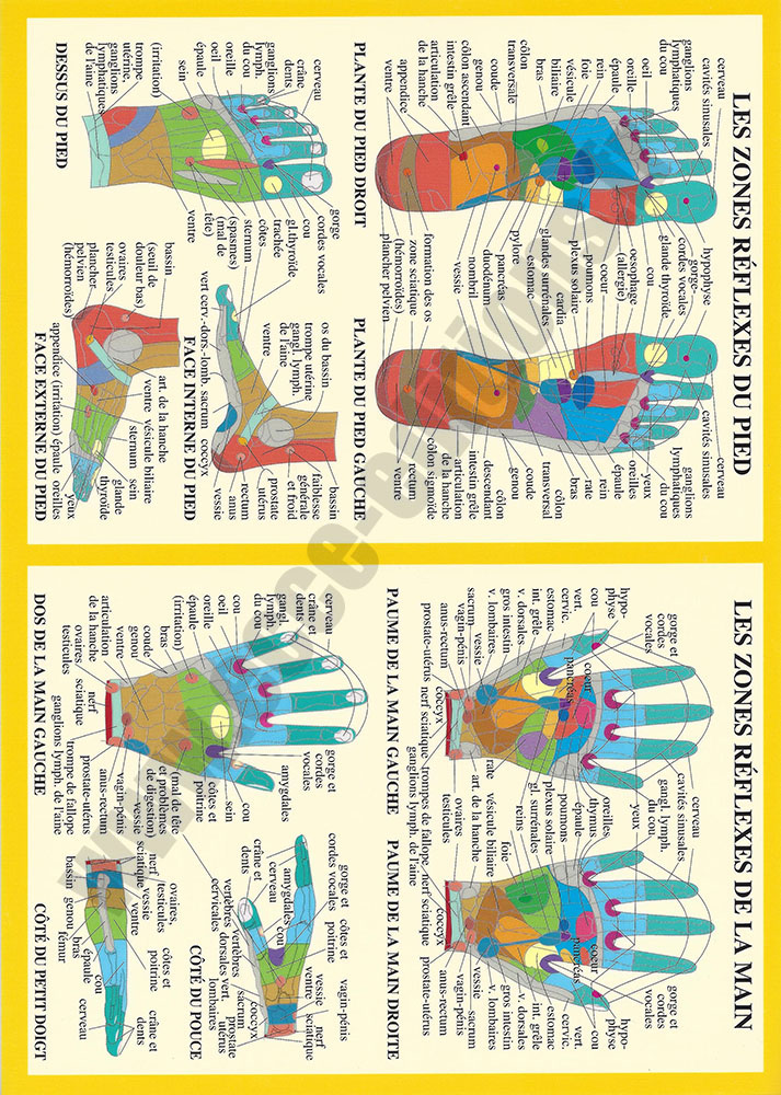 [9789079887040] Planche plastifiée Zones réflexes de la main et du pied (A4) - J.Baarle