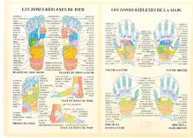 Planche plastifiée Zones réflexes de la main et du pied (A4) - J.Baarle