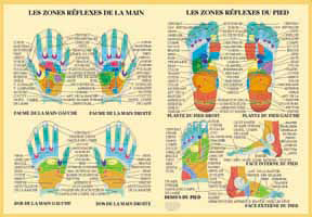 Poster plastifié Zone réflexe main pied (A2) - J.Baarle