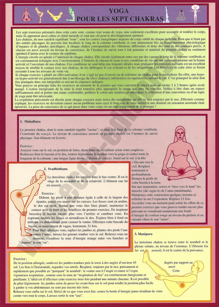 [9789079887071] Planche Plastifiée Yoga pour les sept chakras (A4) - J.Baarle