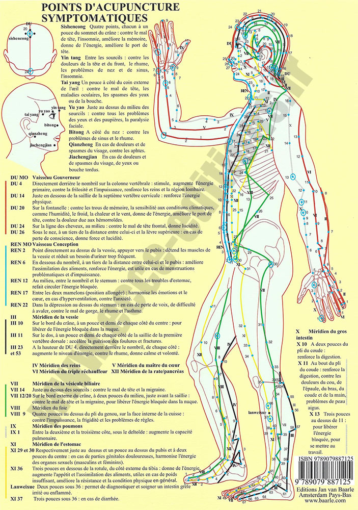 [9789079887125] Planche plastifiée Points acupuncture symptomatique (A4) - J.Baarle