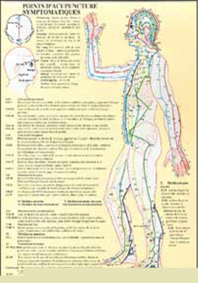 Planche plastifiée Points acupuncture symptomatique (A4) - J.Baarle