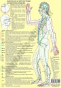 Planche plastifiée Points acupuncture symptomatique (A4) - J.Baarle