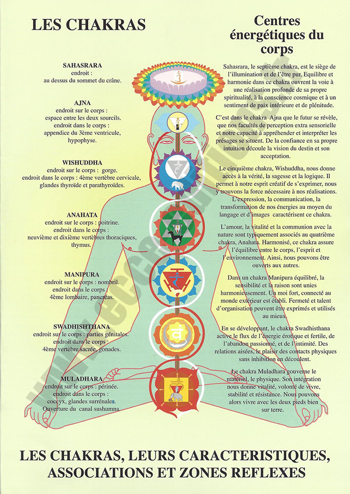[9789079887170] Planche plastifiée des Chakras et leurs caractéristiques (A4) - J.Baarle