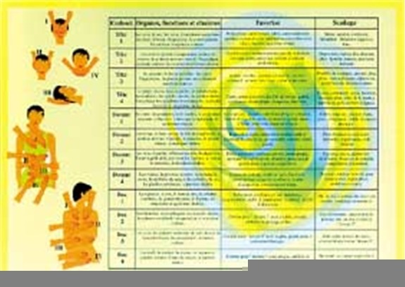 [9789079887989] Planche plastifiée Reiki (A4) - J.Baarle