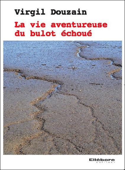 La vie aventureuse du bulot échoué