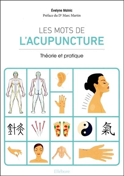 Les mots de l'acupuncture - Théorie et pratique