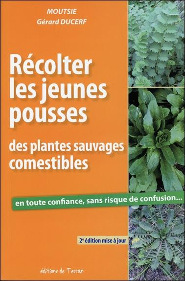 Récolter les jeunes pousses des plantes sauvages comestibles