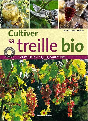 Cultiver sa treille bio
