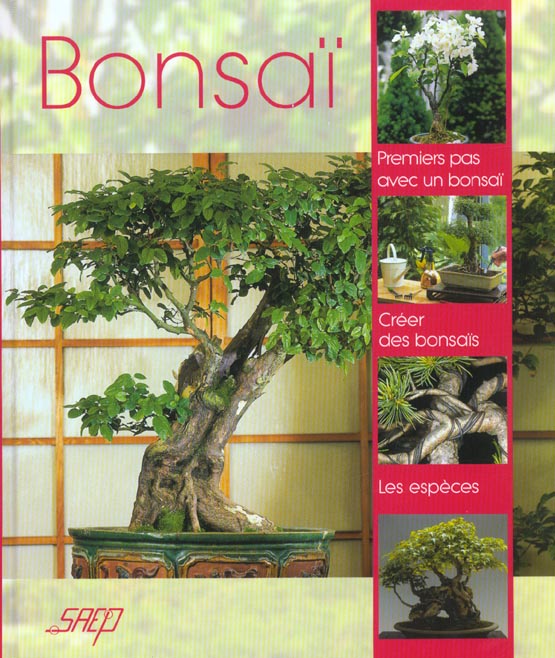 Bonsaï, Myriam Blanc