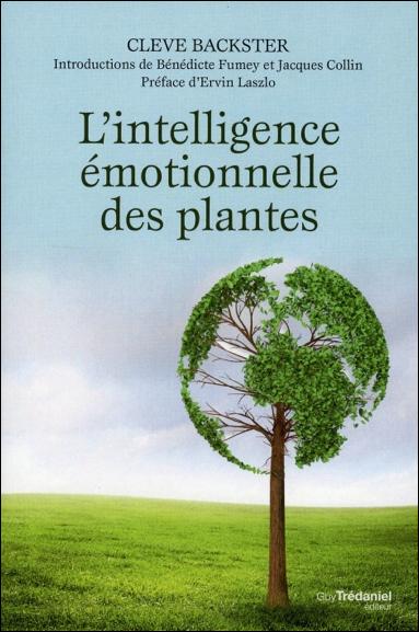 Lintelligence émotionnelle des plantes