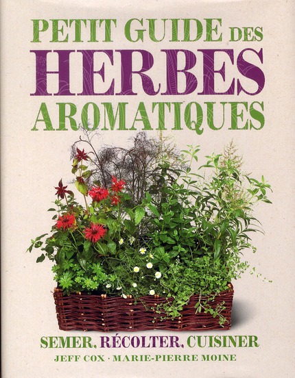 Le petit guide des herbes aromatiques