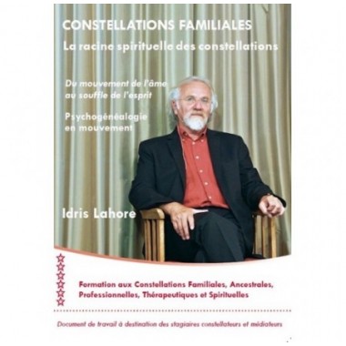 Constellations familiales (la racine spirituelle des constellations) t6