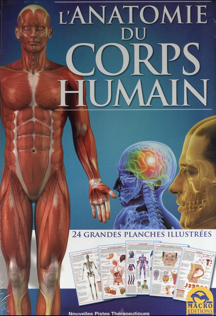 ATLAS L'anatomie du corps humain